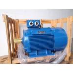 45 KW 3000 RPM 50 Hz / 60 Hz B3 NEW